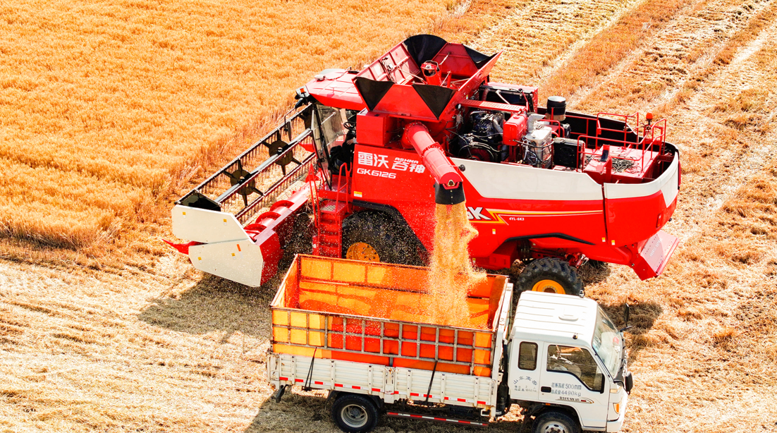 1761480188691521.png image.png