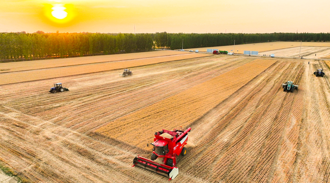 1761480212801201.png image.png