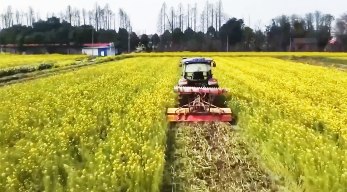 1774669977785121.png image.png