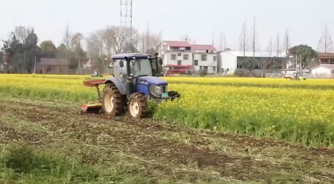 1774669992386052.png image.png