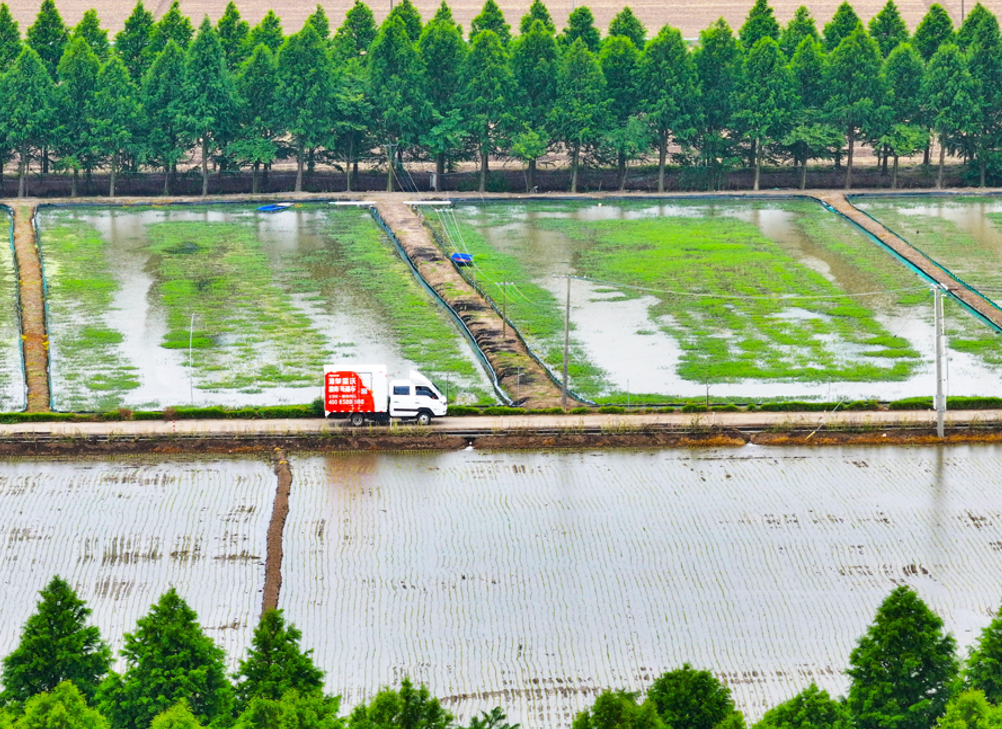 1774670064504041.png image.png